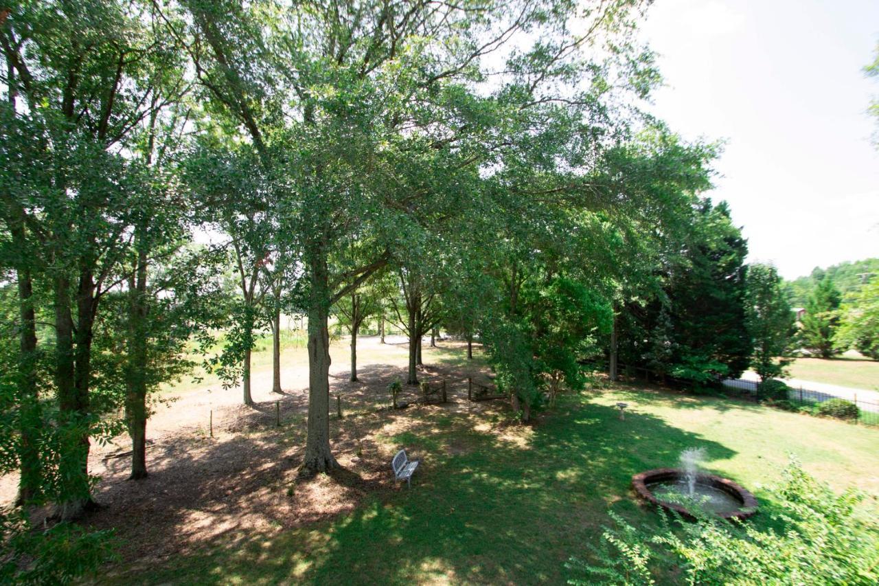 Belton Bed And Breakfast Εξωτερικό φωτογραφία